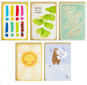 CARDS---Assorted Just Because Cards with Organizer Box (includes 10 cards)
